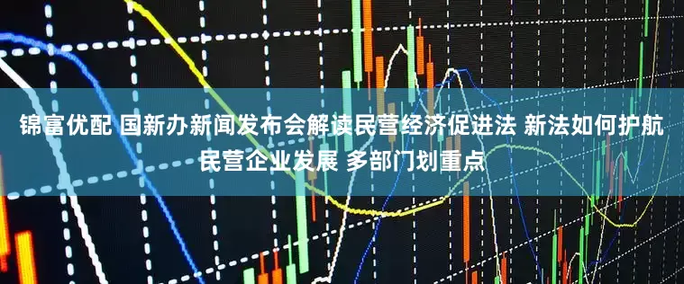 锦富优配 国新办新闻发布会解读民营经济促进法 新法如何护航民营企业发展 多部门划重点