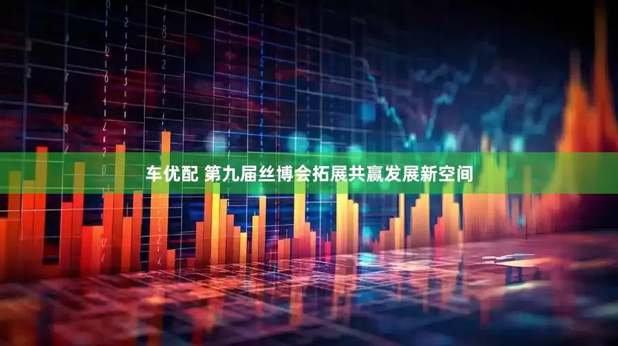 车优配 第九届丝博会拓展共赢发展新空间